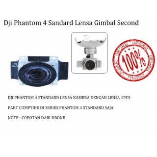 Dji Phantom 4 Standard Lensa Gimbal Second