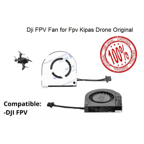 DJI Fpv drone fan